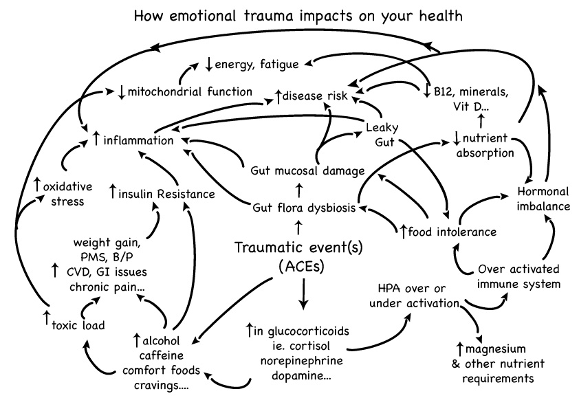 diagram on emotional trauma and how it impacts health